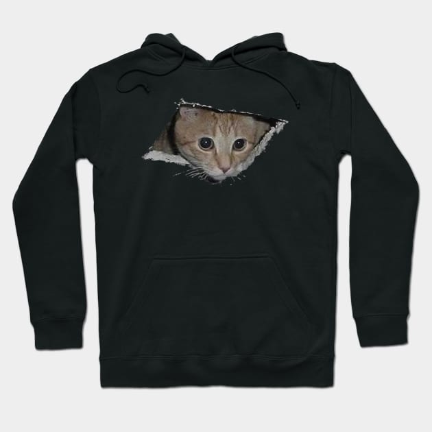 The same cat that looks out of a hole in the ceiling now looks out of a hole in anything! Hoodie by svu